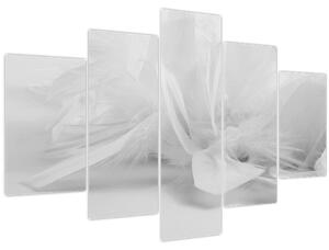 Obraz - Perie (150x105 cm)