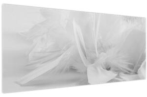 Obraz - Perie (120x50 cm)