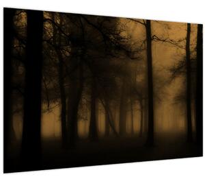 Obraz - Temný les (90x60 cm)