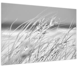 Obraz - Plážová tráva (90x60 cm)