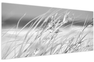 Obraz - Plážová tráva (120x50 cm)