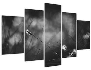 Obraz - Lúčna tráva (150x105 cm)