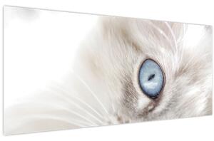 Obraz - Mačka s modrými očami (120x50 cm)