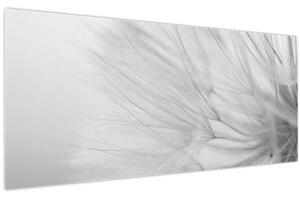 Obraz - Púpava (120x50 cm)