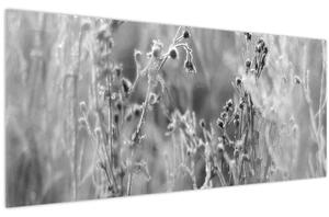 Obraz - Divoká lúka (120x50 cm)
