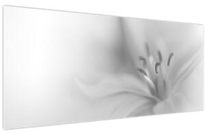 Obraz - Jemná ľalia (120x50 cm)