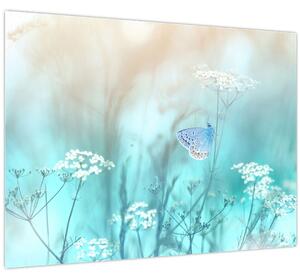 Obraz - Motýlik v modrom (70x50 cm)