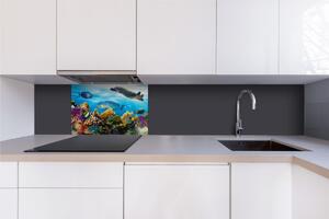 DIMEX | Dibond doska za kuchynskú linku | DBW-06040-092 Ryby v oceáne | 60 x 40 cm