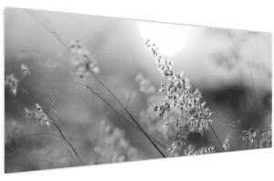 Obraz - Jesenná lúka (120x50 cm)