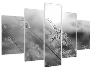 Obraz - Jesenná lúka (150x105 cm)