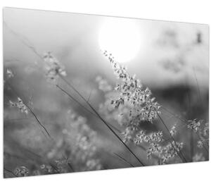 Obraz - Jesenná lúka (90x60 cm)