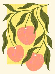Ilustrácia Peaches, Melissa Donne