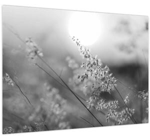Obraz - Jesenná lúka (70x50 cm)