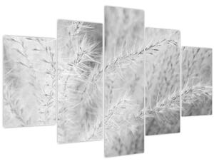 Obraz - Pampas grass N⁰1 (150x105 cm)