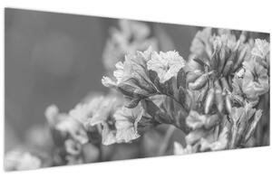 Obraz - Sušené kvety (120x50 cm)