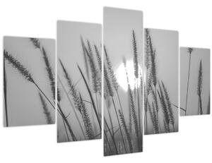 Obraz - Lúka pri západe slnka (150x105 cm)