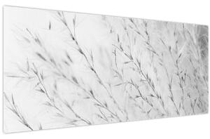 Obraz - Pampas grass N⁰2 (120x50 cm)