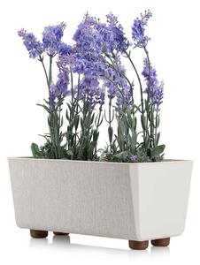 PLASTOVÝ KVETINÁČ SALVIA TX 28,5X17 CM KRÉMOVÁ