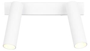 Trio T849210231 LED bodové stropné svietidlo AMBALA integrovaný LED zdroj | 2x500lm | 2300+3000+4000K