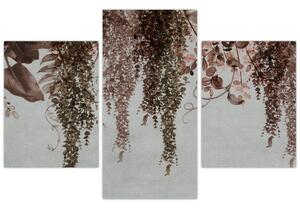 Obraz - Rastliny (90x60 cm)