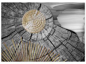 Obraz - Kmeň stromu v koláži (70x50 cm)