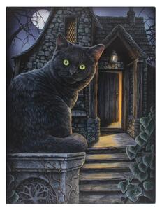Obraz na plátne s čiernou mačkou