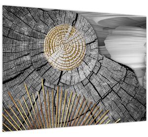 Obraz - Kmeň stromu v koláži (70x50 cm)