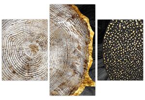 Obrázok - Kmeň stromu v koláži 2 (90x60 cm)