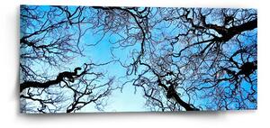 Sablio Obraz Holé konáre - 110x50 cm