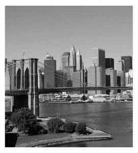 DIMEX | Vliesová fototapeta na stenu Manhattan v šedej farbe MS-3-0010 | 225 x 250 cm | čiernobiela