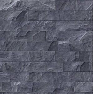 PATIFIX | Samolepiace fólie BRIDLICA 15-6470 | šírka 45 cm | čierna