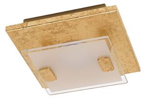 Eglo 97757 - LED Stropné svietidlo VICARO 1 LED/2,5W/230V