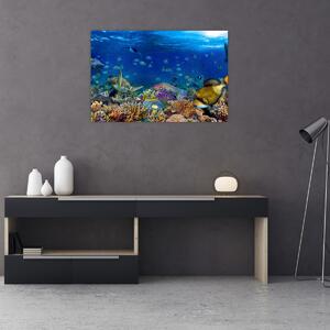 Obraz - Oceán (90x60 cm)