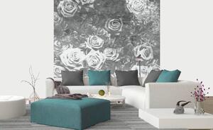 DIMEX | Vliesová fototapeta na stenu Abstrakt ruže II. MS-3-0378 | 225 x 250 cm | šedá, biela