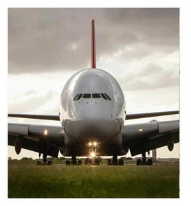 DIMEX | Vliesová fototapeta na stenu Airbus MS-3-0318 | 225 x 250 cm | šedá, zelená