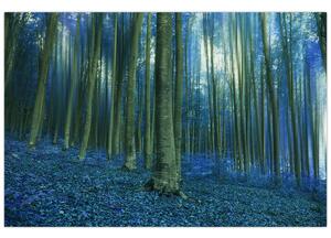 Obraz - Modrý les (90x60 cm)