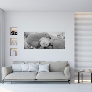 Obraz - Ľadové medvedíky, čiernobiela (120x50 cm)