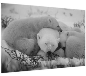 Obraz - Ľadové medvedíky, čiernobiela (90x60 cm)