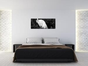 Obraz - Páv, čiernobiela (120x50 cm)