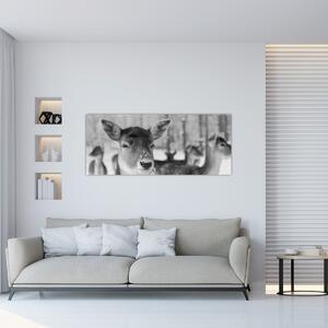 Obraz - Jelenča, čiernobiela (120x50 cm)