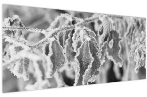 Obraz - Zmrznuté listy, čiernobiela (120x50 cm)