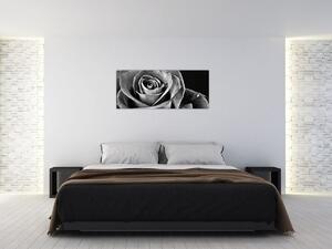 Obraz - Ruža, čiernobiela (120x50 cm)