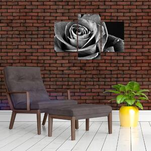 Obraz - Ruža, čiernobiela (90x60 cm)
