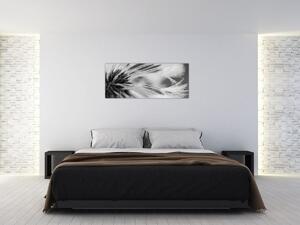 Obraz - Makro, čiernobiela (120x50 cm)
