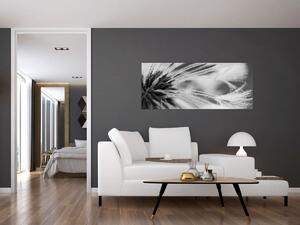 Obraz - Makro, čiernobiela (120x50 cm)