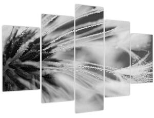 Obraz - Makro, čiernobiela (150x105 cm)