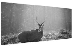 Obraz - Jeleň v lese, čiernobiela (120x50 cm)