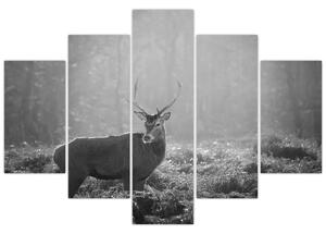Obraz - Jeleň v lese, čiernobiela (150x105 cm)