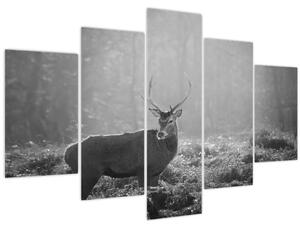 Obraz - Jeleň v lese, čiernobiela (150x105 cm)