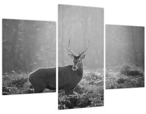 Obraz - Jeleň v lese, čiernobiela (90x60 cm)